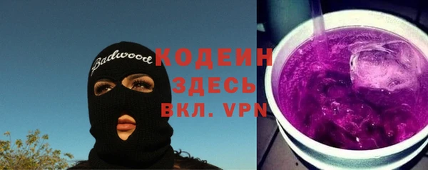не бодяженный Заводоуковск