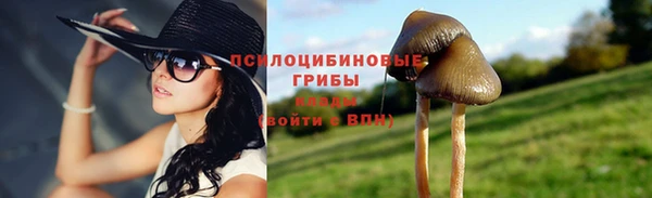 не бодяженный Заводоуковск