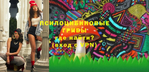 не бодяженный Заводоуковск
