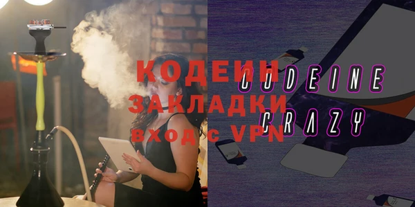 гидра Елабуга