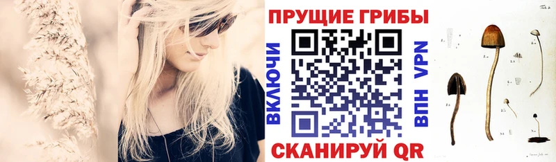 mega вход  Карабаш  Псилоцибиновые грибы MAGIC MUSHROOMS 
